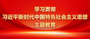 大屌淫操美女学习贯彻习近平新时代中国特色社会主义思想主题教育_fororder_ad-371X160(2)